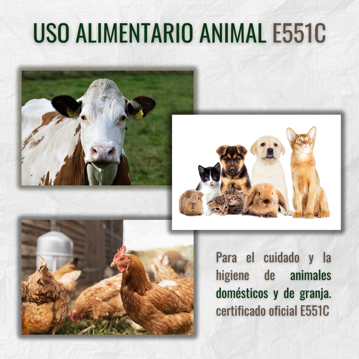 Tierra de Diatomeas - Imagen 3