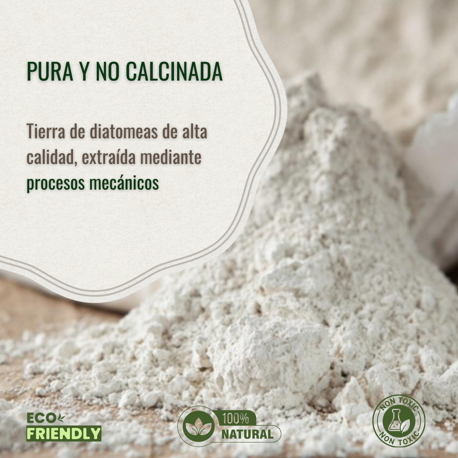 Tierra de Diatomeas - Imagen 4