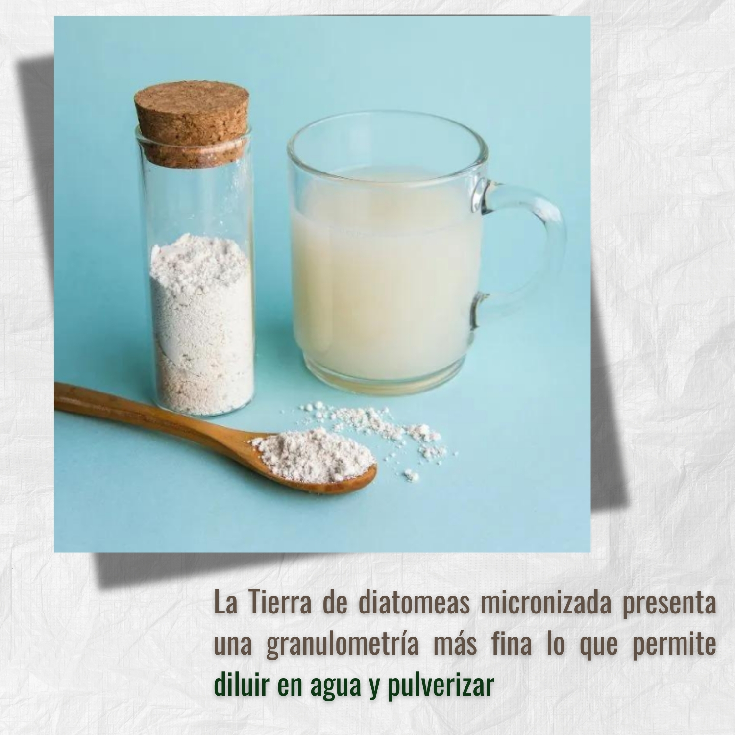 Tierra de Diatomeas - Imagen 5